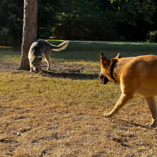 Pokaż mi, gdzie sikasz, a powiem ci, jak się czujesz