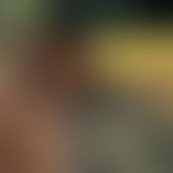 Samotność w tłumie: krótkie spotkania nie zastępują psu relacji