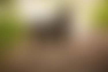 Strefa Przemiany - praca z Letty