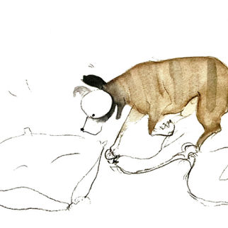 Recenzja książki „Czino, czyli jak owinąć sobie człowieka wokół łapy”.