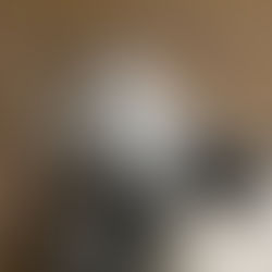 Psia samotność nie ma jednego wzorca