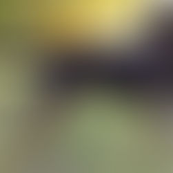 Strefa Przemiany - praca z Pysiem