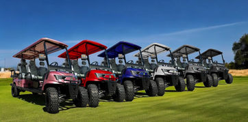 kleverwheels golf carts