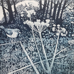 Chiffchaff, Field Notes, Janis Goodman