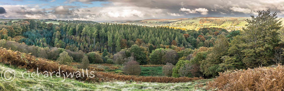 _dsc1303-pano