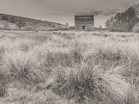 Discovering Muker – Composition