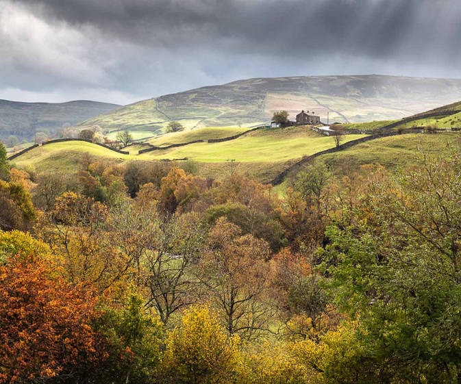 Artists The Old School Muker