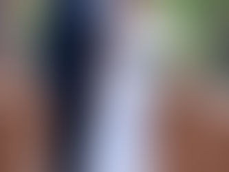 A Red Setter Romance