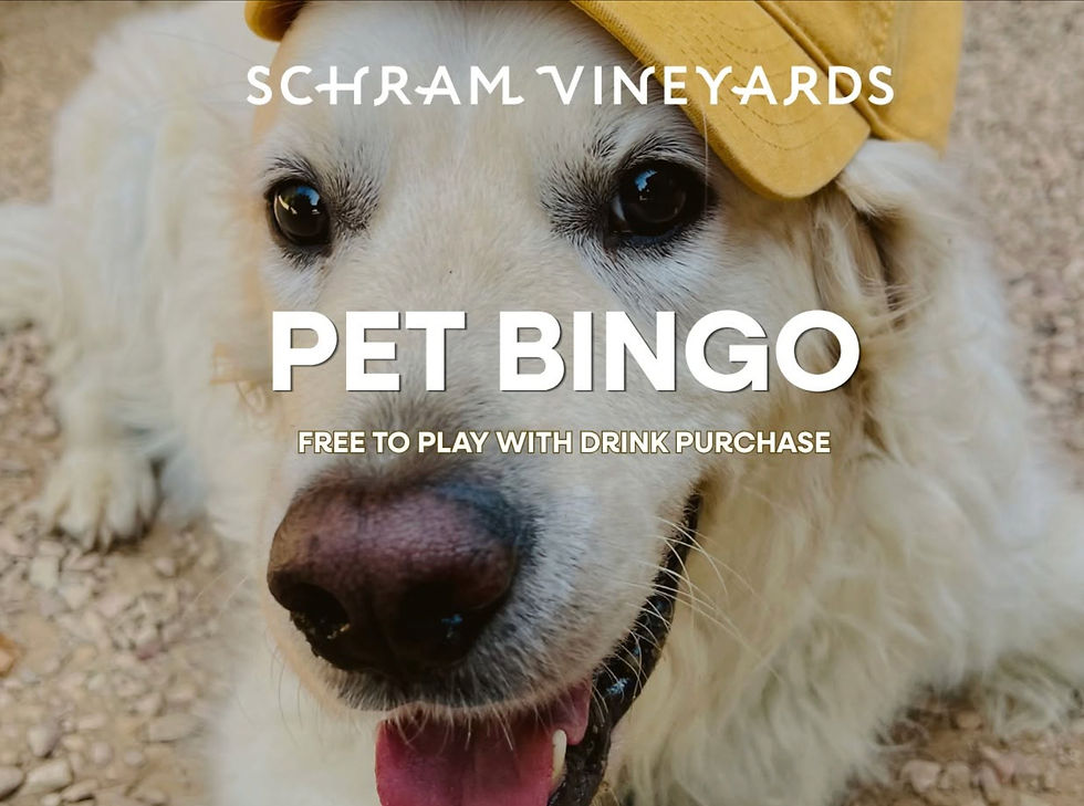 Pet Bingo!