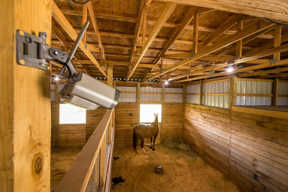 Thumbnail: TACTACAM Defend Cellular Security Camera - No Wifi Required - Motion Activated W