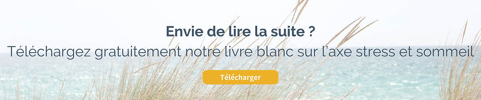 Découvrez notre livre blanc sur le stress et le sommeil