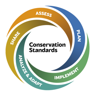 Conservation-standards-1024x1024-1.png