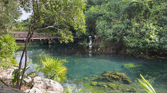 On-site cenote at Catalonia Royal Tulum