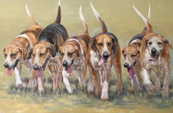 The Leader of the Pack