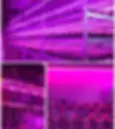Thumbnail: LED Grow Light Full Spectrum USB Grow Light Strip 0.5m 1m 2m 2835 Chip LED Phyto