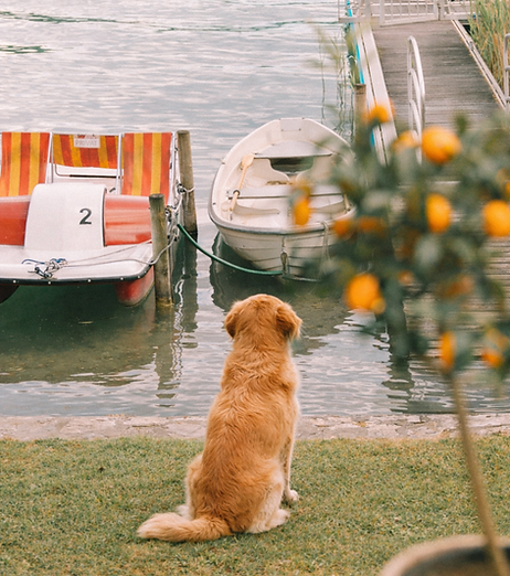 ChatGPT Image 27. März 2026, 08_32_26.png