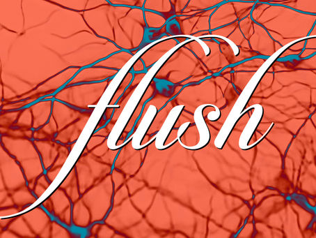 Blog Post #254: Title and Poster of New Series Revealed!