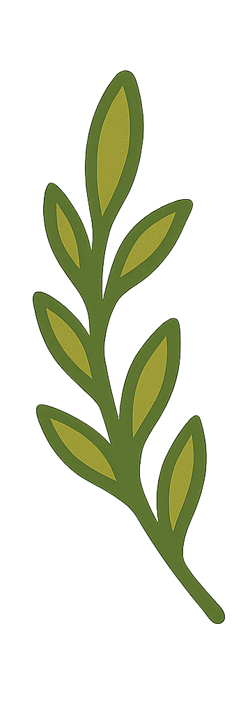 ccb1bff8-224c-407d-b322-07e7f8694a541.png