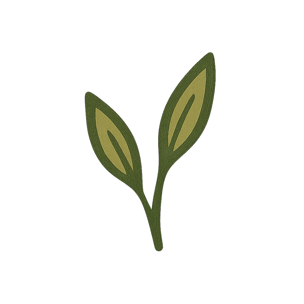 ec519633-0ca0-4aaf-aa6f-fefa60dd558e.png
