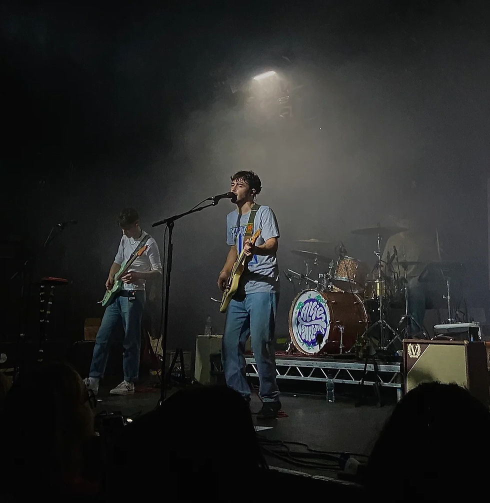 Alfie Templeman performing live