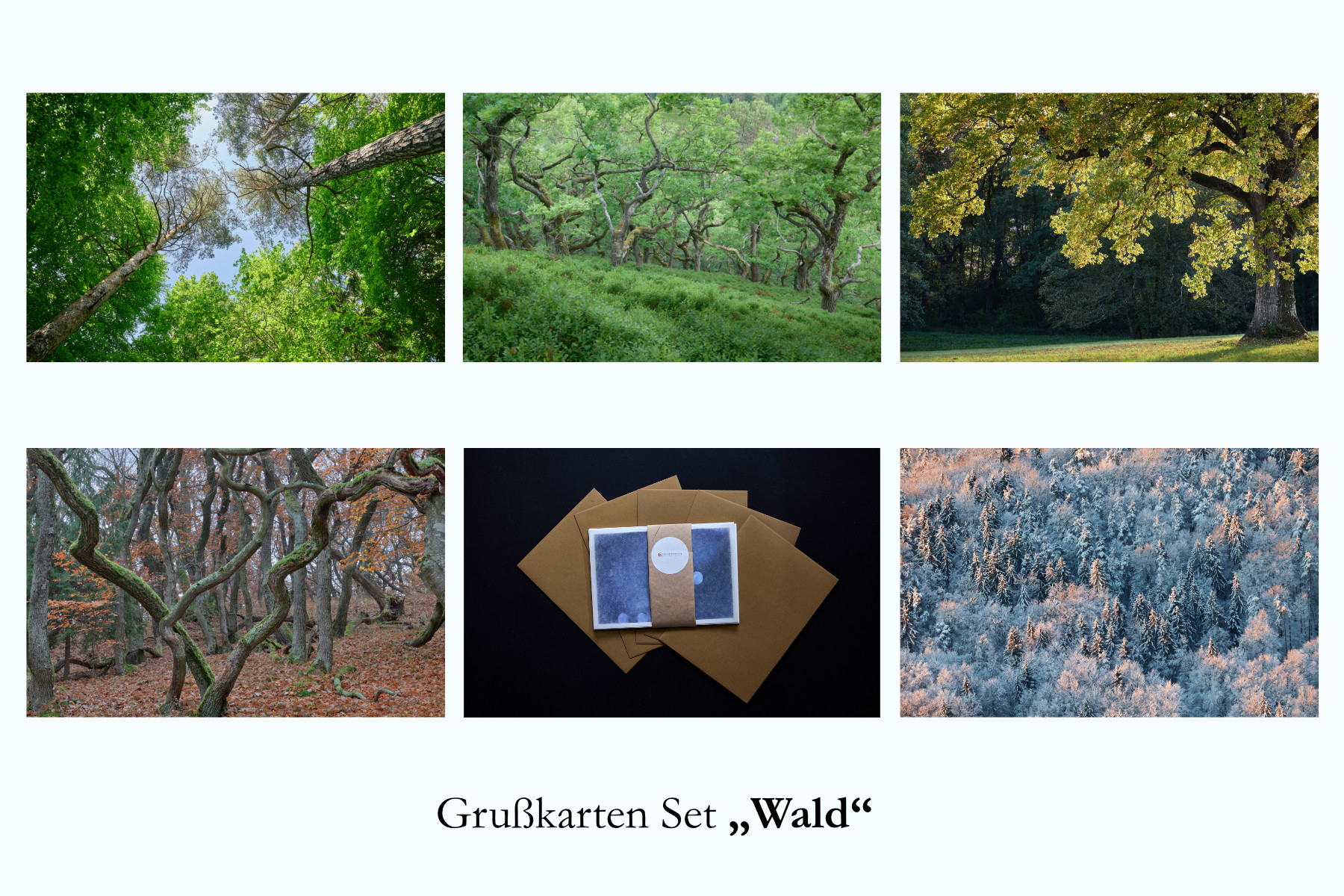 Grußkarten Set "Wald"