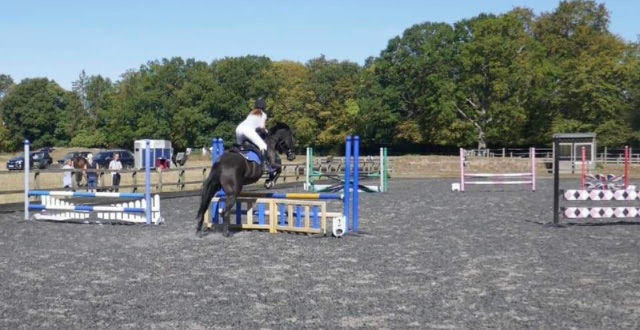 Checkendon Show Jumping training