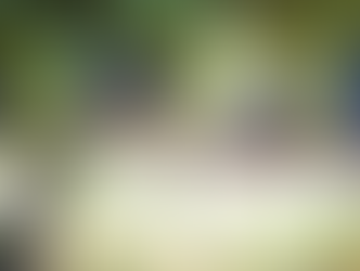 Lenten Journey: Living in the vine Feb. 22-April 9