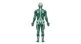 magnific_0p25PCgTfW.png