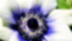 20190602_203737