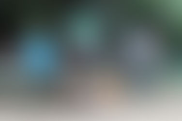 單人家庭、熟齡離婚成趨勢