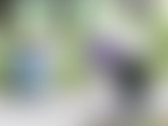 20年後 二個壯年養一老人