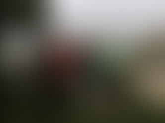 NEOTA Matchday 10 Recap!