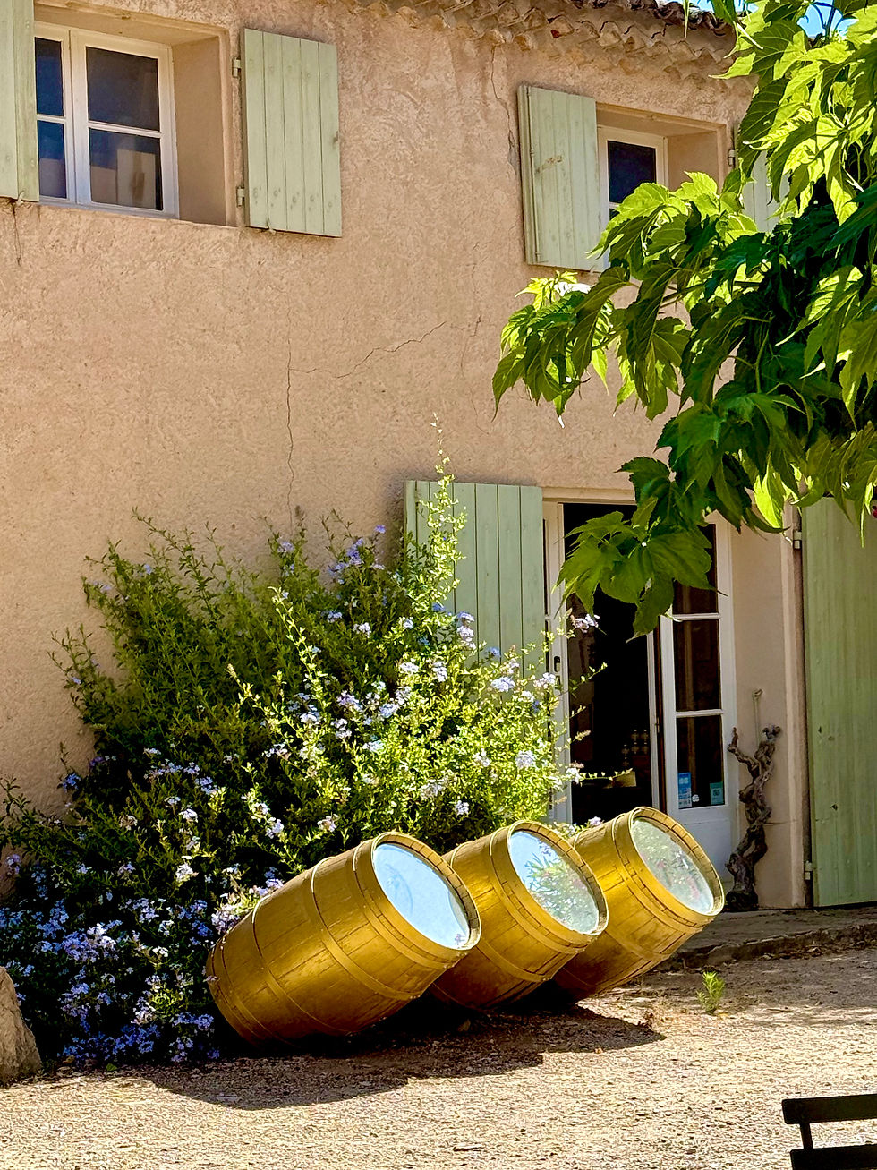 Bandol: The Best French Wine Region You've (probably) Never Heard Of