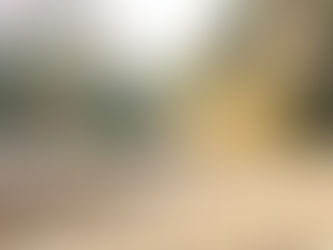 メンバーによる現地調査