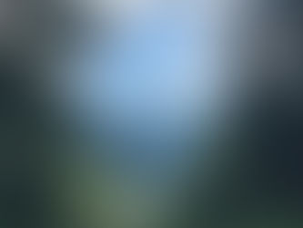 メンバーとお泊り現地調査