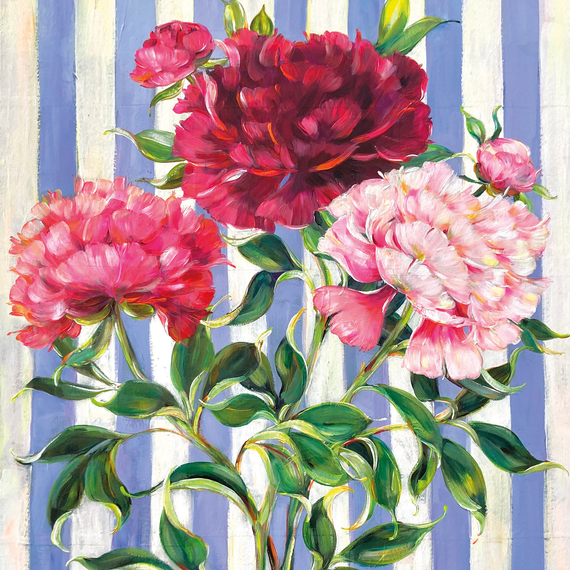 Hikari Napkin 33x33 (Uds por caja: 12)