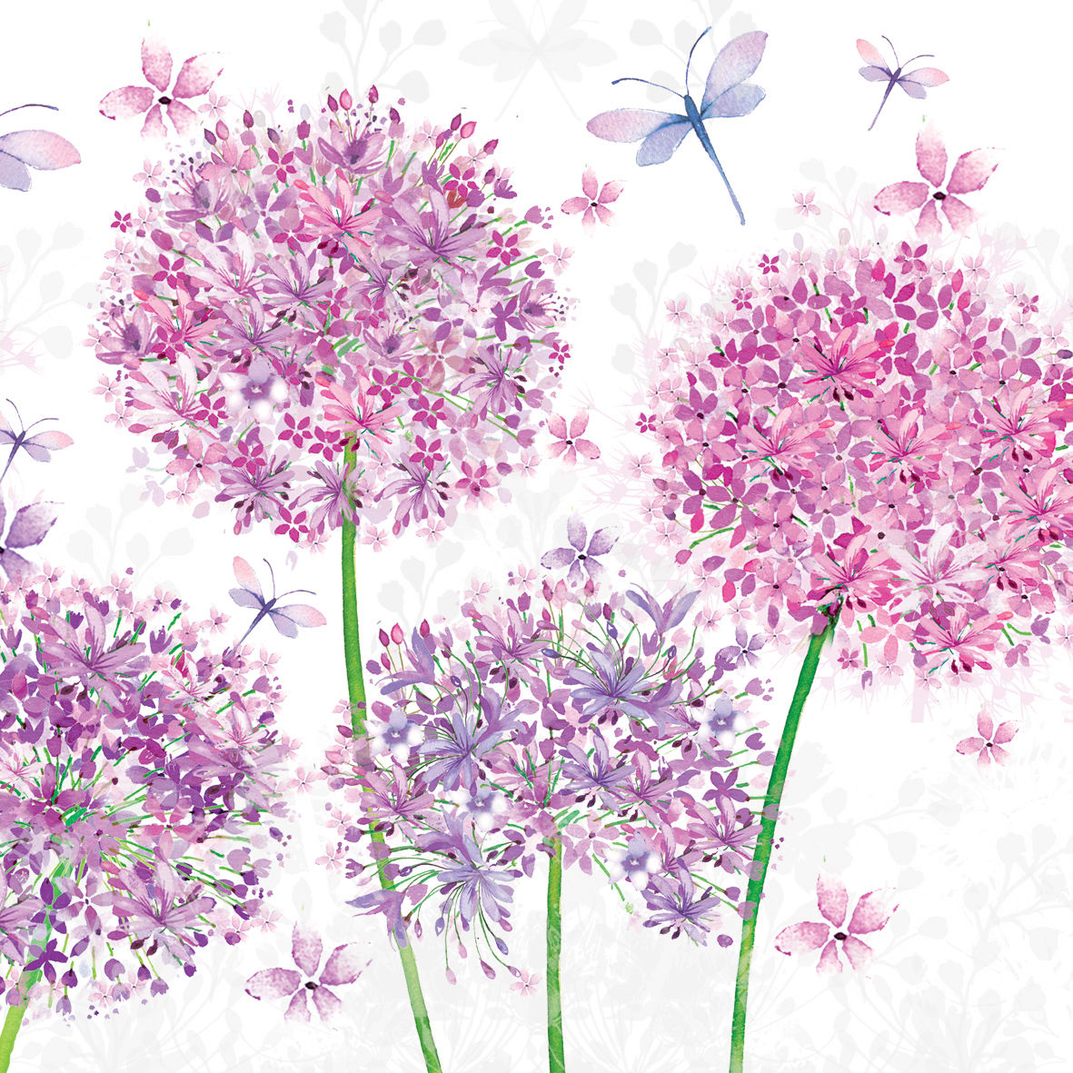 Aquarell Dandelion 33x33cm (Uds por caja: 12)