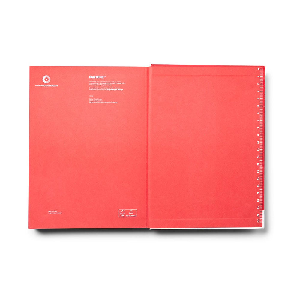 Miniatura: PANTONE NOTEBOOK L DOTTED  - Red 18-1763 - VE: 6