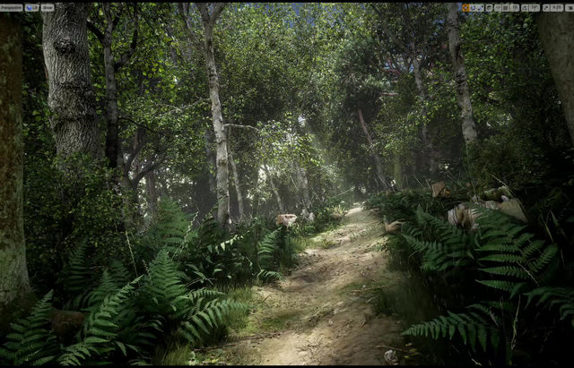 Walkthrough the woods