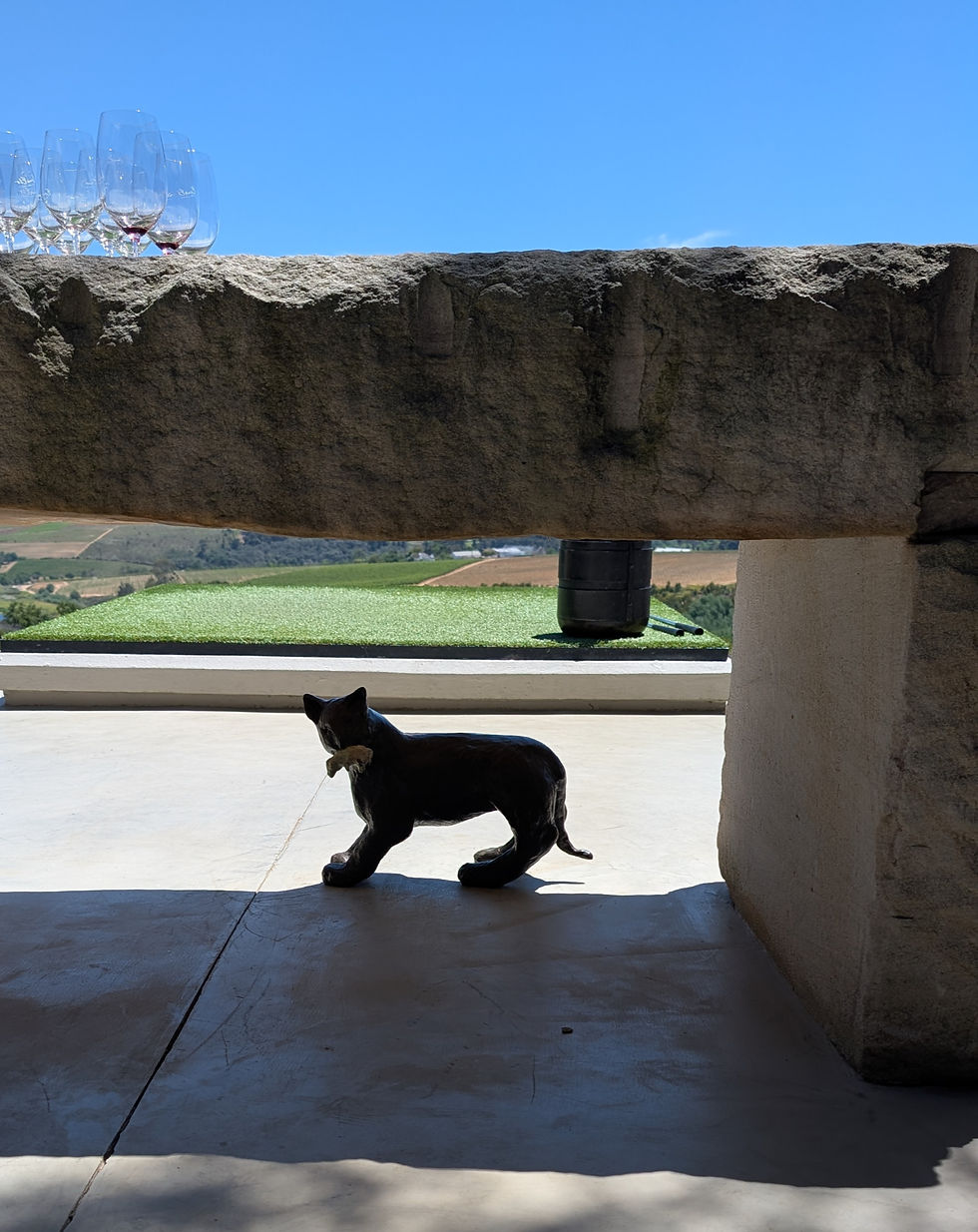 Ernie Els Winery - is that cat real or a statue?