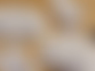 Samentütchen einfach selber basteln