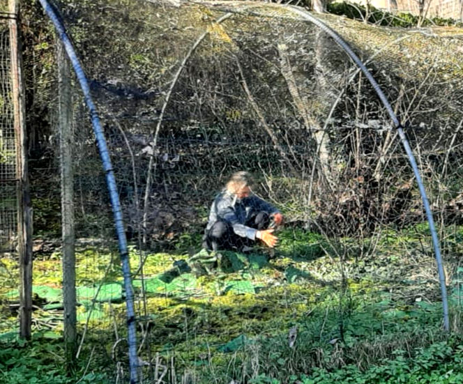 Onze eerste Vriend van Fuga Verde