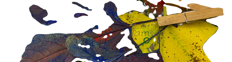 acquerello su cotone