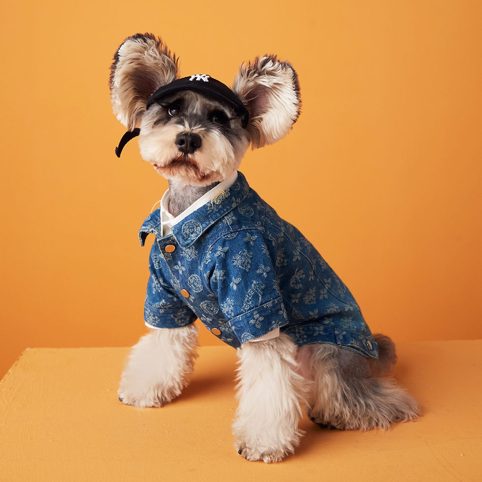 Miniature : Jaqueta Jeans
