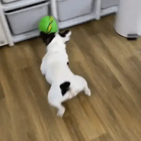 Miniatura: Bola Mágica