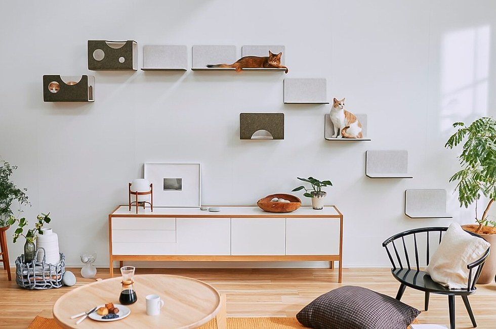 parede montada para gatos