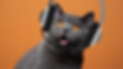Design sem nome (1).png