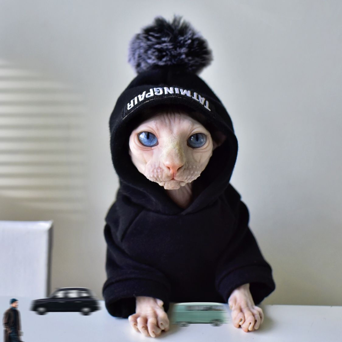 Moletom com gorro Sphynx
