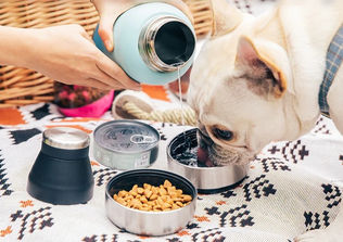 Garrafa Everich BR by Meu Pet Gringo: inox, BPA-free, 48h gelado/18h quente + base secreta! Design eco-chic pro seu dia a dia.