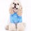 Thumbnail: Sweater Ombre Furry
